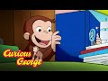 Curious George 🐵  George the New Librarian 🐵  Kids Cartoon 🐵  Kids Movies 🐵 Videos for Kids