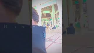 Bari Imam Darbar Status Video-Mushkilaan De Andar Sain Khawar TP Manqabat#sainkhawar #shortvideos