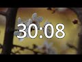 42 minutes timer with music cherry blossom timer