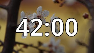 42 Minutes Timer with Music | Cherry Blossom Timer