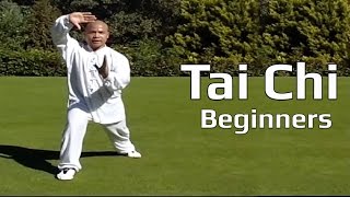 Tai chi chuan for beginners - Taiji Yang Style form Lesson 4