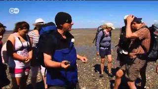 Wadden Sea Tidal Flats - with a Family from the USA | Discover Germany