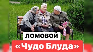 ЛОМОВОЙ - Чудо блуда