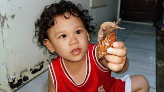 Dzil Menangkap Siput Besar - Baby vs Snail