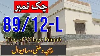 Village 89/12-L Ccw Sahiwal Montgomery | Rural Life | Punjab Village Tv