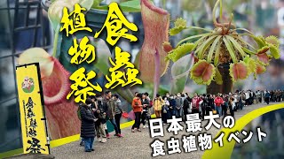 日本最大の食虫植物イベント「食蟲植物祭」に行ってきたぞ！