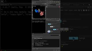 Houdini Python Basics function 002 - node.type().name()