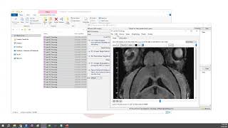 Batch Processing for NIFTI Files (without writing a script)