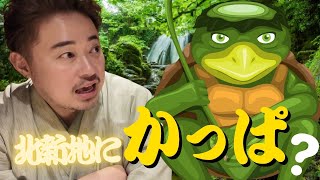 北新地にかっぱがいるんです🥒