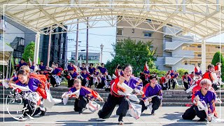 【公式】関東学院大学”誇咲”2023年度演舞「魁」こいや祭り1日目　末広公園会場