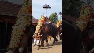 പല്ലാട്ട് ബ്രഹ്മദത്തൻ/            കുന്നത്തൂർ രാമു/ വേമ്പനാട് അർജുനൻ #2k22 #video #shorts