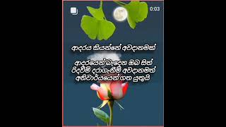 හැමෝම ආදරය ගැන මේ දේවල් අමතක කරලා ආදරය කරන්න ගන්නේ 👉🤔🤔🤔🤔