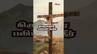 Mugam Paarkum Ulagathinidaiye |முகம் பார்க்கும் உலகத்தின் இடையே TPM Youth Camp Songs 2021#shorts