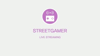 [스트리트게이머] 마인크래프트 마스터 StreetGamer 스트리밍!