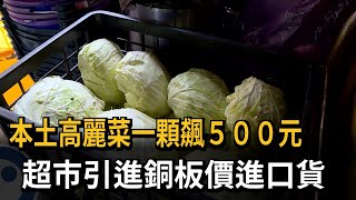 本土高麗菜一顆飆500元　超市引進銅板價進口貨－民視新聞