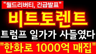 [비트토렌트 코인]🛑트럼프 일가가 사들였다!!1000억을 매집한 이유!?월드리버티 긴급발표!!#비트토렌트 #비트코인