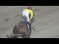 【映像記録】7年ぶりの地方馬のjdd制覇は主戦負傷の代打初騎乗 2017 07 12