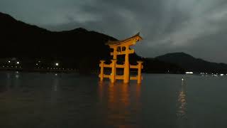 広島・厳島神社の大鳥居・ナイトクルーズ 　2024.0602.