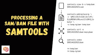 How to Convert, Add Read Group, Sort and Index SAM/BAM Files with SAMtools – CLI NGS Tutorial #7
