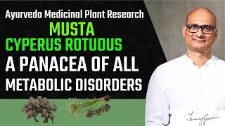 GOSVAL | MUSTA - CYPERUS ROTUNDUS | “A PANACEA OF ALL METABOLIC DISORDERS” | Dr TANMAY GOSWAMI