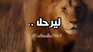 ليرحل من يرحل .. ويبقی من يبقی ..