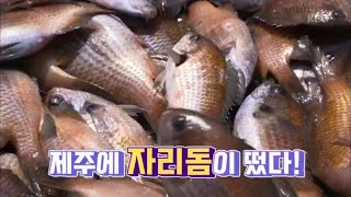 맛의 빈자리 자리돔으로 채우다 - 서귀포 대정 [6시 내고향] 20200528