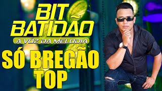 🎶SÓ BREGÃO TOP COM BIT BATIDÃO🎹