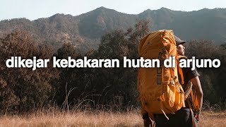 Perjuangan Sia-sia part 3 (Gunung Arjuno-Welirang, Jawa Timur)