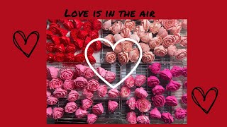 Love is in the air | Dying Sola Flowers | DIY