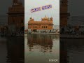 golden temple sri amritsar sahib goldentemple amritsar devotional gurudwarasahib sikhhistory