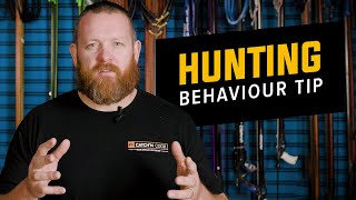 Hunting Behaviour That Will Help You Shoot More Fish