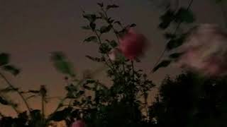 friends- chase atlantic (triple layered)