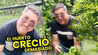 NUESTRO HUERTO CRECIÓ DEMASIADO 😱! | Los Morales