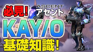 初心者必見！この動画を見れば、KAY/Oの基礎知識が学べます！