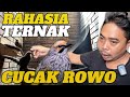 Sukses Ternak Cucak Rawa Dengan Cara ini