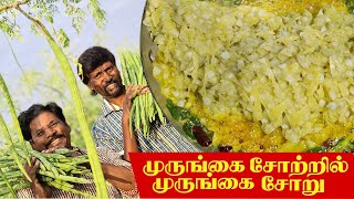 முருங்கை சோற்றில் முருங்கை சோறு | DRUMSTICK RICE Recipe in Tamil | முருங்கைக்காய் மருத்துவ குணங்கள்