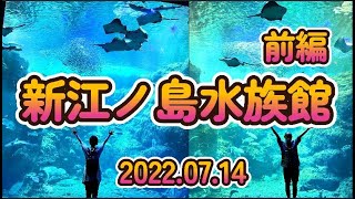 新江の島水族館、前編 2022 07 14