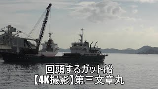 回頭するガット船【4K撮影】第三文章丸