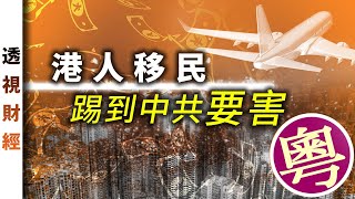 港人移民 踢到中共要害（粵語）｜透視財經【0017】SinoInsider 20201223