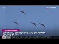 ЗСУ вночі знищили 9 із 10 дронів камікадзе