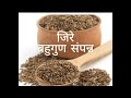 बहुगुणी जिरे cumin seeds