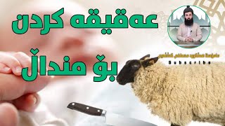 عەقیقە کردن بۆ منداڵ _ مەڕە منداڵە / کەمتر لە خولەکێک / م هەلگورد