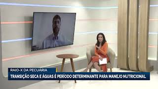 Raio-X da Pecuária | Transição seca e águas é período determinante para manejo nutricional