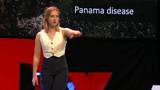 The future of our food system | Evi Vet | TEDxAlkmaar