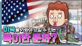 [굿캠] 미국과 한국의 차이! 영화에서도 볼 수 없었던 이것!? (문화/문화차이/미국/비밀)