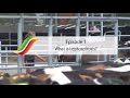 Introduction to Leptospirosis - Episode 1 | Massey University Introduction to Leptospirosis - Episode 1 | Massey University