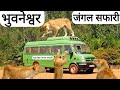 भुवनेश्वर जंगल सफारी | Bhubaneswar Jungle Safari | Bhuvaneshwar City | Vlogs Rahul