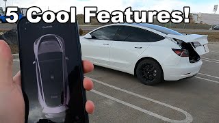 Here's 5 Cool Tesla Model 3 Features!
