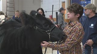 Pennsylvania Farm Show guests answer what's their favorite part