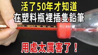 在塑料瓶裡插隻鉛筆，用處太厲害了！活了50年才知道，真的方便又實用！【圍裙媽媽】